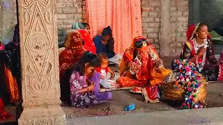 Adivasi Lagan Geet | Aamsota | લગ્ન ગીત 2024 | दुल्हन लगन गीत 2024 | રાઠવા સમાજ