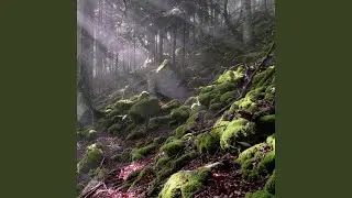 River Drone 3 (Original Motion Picture Soundtrack) (Film excerpt: La qu&ecirc;te de l'impossible -...