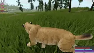 Smilodon life Part 1/3 - (Cenozoic Survival Classic)