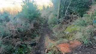 Exploring Barranisky, County Wicklow