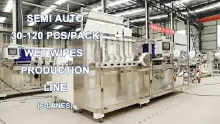 Semi Auto Wet Wipes Making Machine For 30-120 pcs/pack Wet Wipes