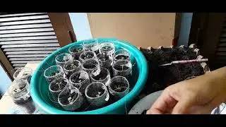 How to make a strong clip to hang plant containers .