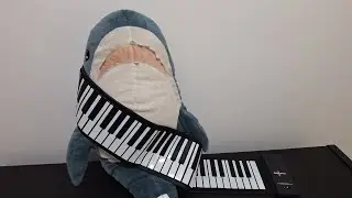 MiniPro Roll Up Piano - Unboxing, Demo and Review