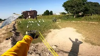 Use Slingshot for Hunting Big White Egrets 🤯  &ndash; Slingshot Hunting Skills