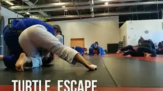 Turtle Escape to Side Control