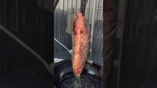 How to Cook CARP Deliciously. Best Carp Recipe #shorts #carp #recipe