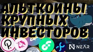 ТОП АЛЬТКОИНОВ, НАКАПЛИВАЕМЫХ КИТАМИ!!!