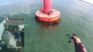 PESCARIA NAS BOIAS DO MAR DE ARACRUZ- xareu , chicharro , guaivira
