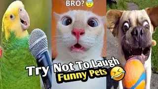 Smart And Funny Pets Videos Compilation | Cuts PETS (#2)