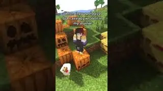 ✍️ #shorts #minecraft