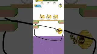 save this dog and cat 🐈😺😺😺🐈 #savethedog #shortsvideo #shortsfeed #shorts #doge #game #trending