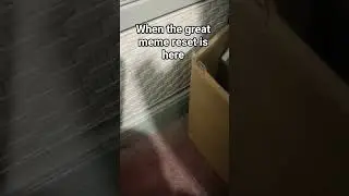 when the great meme reset is here #funny #memes #shorts