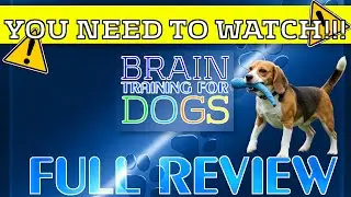 Brain Training for Dogs by Adrienne Farricelli -⚠️YOU NEED TO WATCH!⚠️ - 2026 | Full Complete Review
