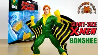 What Happens When You Unbox This Banshee Figure?