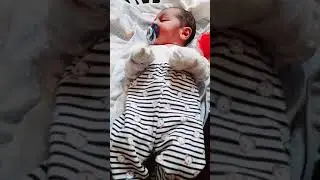 puil meu mic   e tare nervoss puil meu   te iubeste  mama mult sebastyan@@@@@