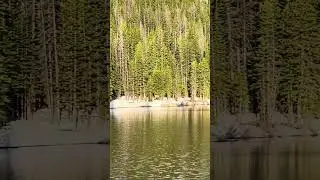 Estes Park Elk