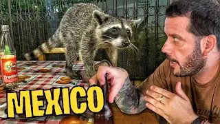 ASSIM se COME nesse RESTAURANTE MEXICANO | PUERTO VALLARTA