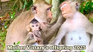 Thank mother monkey Vistary for keeping me close to your little kids/ Troop monkeys Mila.