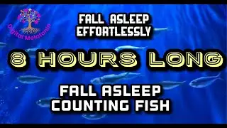 8 HOURS!! -SOFT MUSIC & Count Fish for DEEP SLEEP!! Relaxing sounds, Stress Relief , Meditation