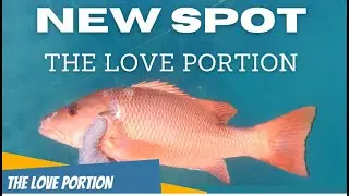 Cubera snapper | Cooking new Secret Recipe