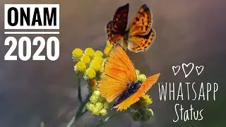 Onam Whatsapp Status Video | Onam Greetings | Onam Wishes | Happy Onam 2020