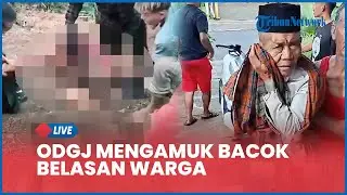 🔴 LIVE: Pria Diduga ODGJ Mengamuk Bacok Belasan Warga di Purwakarta seusai Cekcok dengan Orang Tua