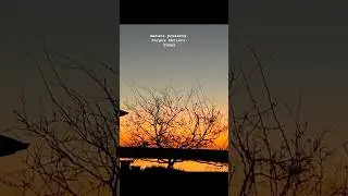 Nature preserve,Corpus Christi,Texas.#viral #nature #corpuschristi #corpuschristitexas #texas