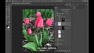 Organizing Layers cc 2020
