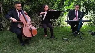 Anyone - Justin Bieber (Teclado, Violino e Violoncelo) Músicas para casamento