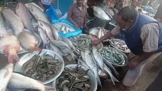 মাছের মেলা মির পুর বাজার জগন্নাথপুর রোড সুনামগঞ্জ See more#highlightsシ゚ #foryouシ #follow #foll