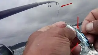 SETIAP LEMPAR LANGSUNG DI LAHAP 2 HARI BERTURUT-TURUT || bari ngluyur mancing ikan
