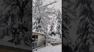 Snowfall village ❄️ K&ouml;ye kar yağıyor ❄️☃️❄️ #amazing #snow #travel #snowy #snowman #kar #village
