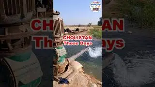 Cholistan these days #cholistan #greenpakistan #folk_lorepk