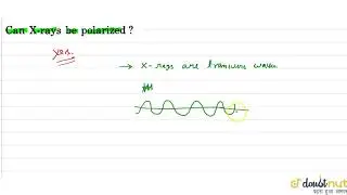 Can X-rays be polarized?