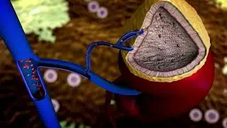 Medical Narration