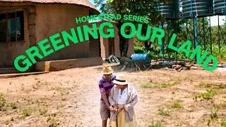 From Diaspora to Homestead 🌱 Greening Our Rural Zimbabwe Land – Tree Planting & Big Progress!”