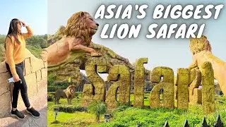 Lion Safari Etawah | Biggest Safari in Asia | Asiatic Lion Spotted | Travel Vlog