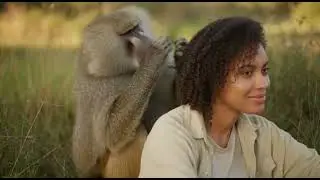 ASMR monkey grooming human 