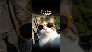 Cats Purr Secret 🐱✨ | The Healing Power of Purring!