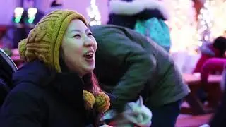 Aurora winter festival vancouver cinematic video.