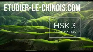 HSK3 - S&eacute;rie H31003