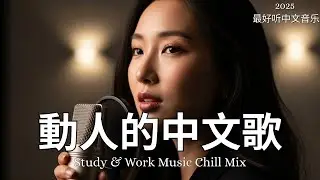 【2025最好聽中文音樂】動人抒情歌單｜讀書、工作與放鬆的絕佳音樂｜温暖寒冬的音乐 Study & Work Music Chill Mix | #BGM #專注讀書 #放鬆工作 #工作音樂 #情歌