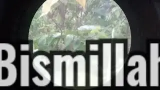 Lanjut lokasi kmrin Hunting burak-burak gakin+Maunjun haruan😀