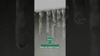 Topic 6: Weather &mdash; Daily Talk | Learn 5-Minute English Fast with MD  #5minuteenglish