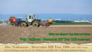 Alte Traktoren - Mercedes MB Trac 1000 (1982-1991) beim Kartoffellegen mit Gruse VL 20 KLSA + HR 300