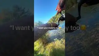 15 septembre 2025 #fishing #troutfishing #trout #quebec #shorts