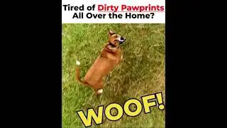 Muddy Mat has Nano Fibe that traps Unwanted Debris from Shoes Like Dirt, Mud, Grass & More!