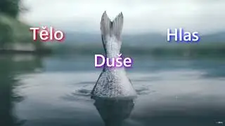 REST - Tělo, Du&scaron;e, Hlas /Text Lyrics/ (DJ  Wich)