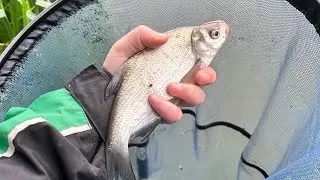 Whip fishing challenge on a free whip from angling direct