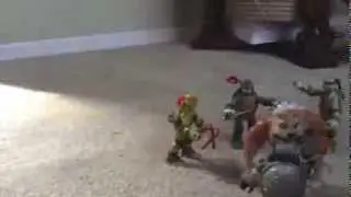 DOGPOUND VS THE TURTLES